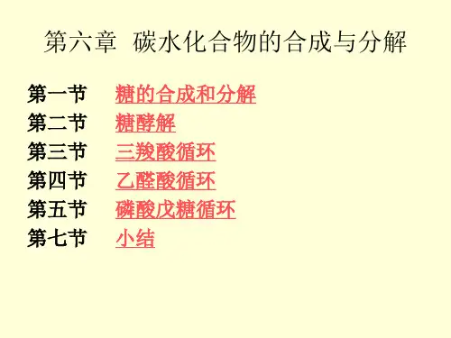 生物化学第八章碳水化合物的合成与分解