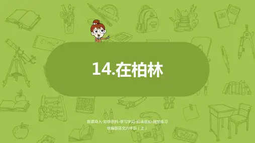 《在柏林》PPT课件人教部编版(共36张PPT)