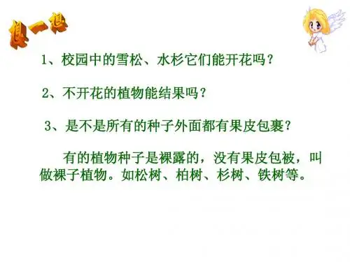 裸子植物