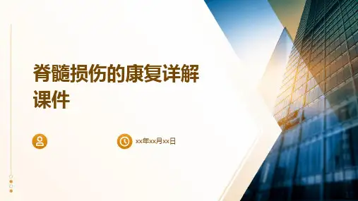 脊髓损伤的康复详解课件