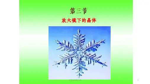 教科版科学六年级下册第三课放大镜下的晶体ppt课件