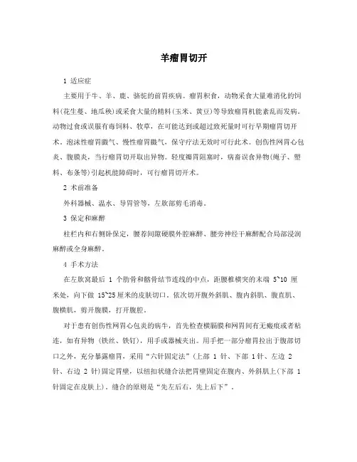 羊瘤胃切开