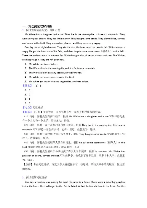 六年级小学英语专题复习 阅读理解(附答案)50