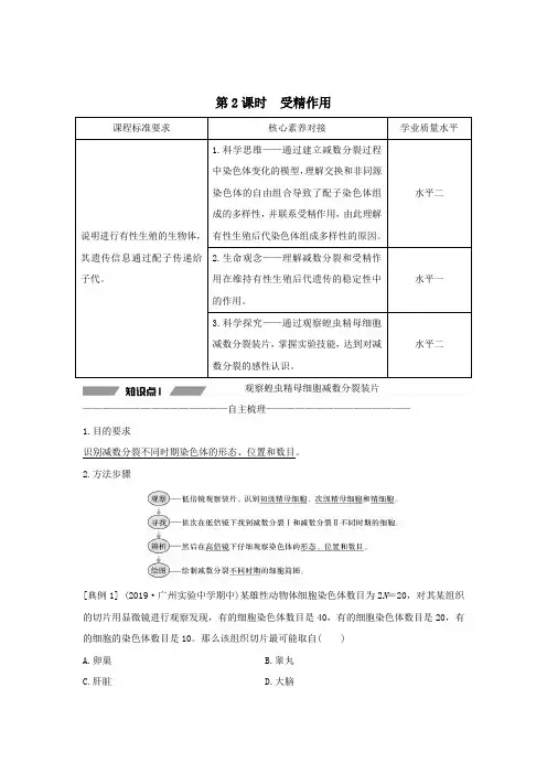 2020学年新教材高中生物第二章基因和染色体的关系第1节第2课时受精作用教案人教版必修二