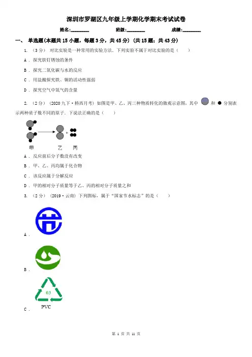 深圳市罗湖区九年级上学期化学期末考试试卷