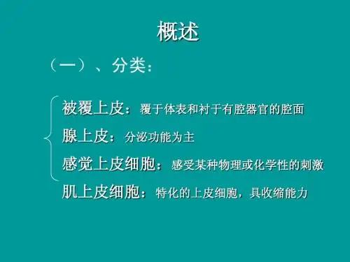 组织学,上皮组织