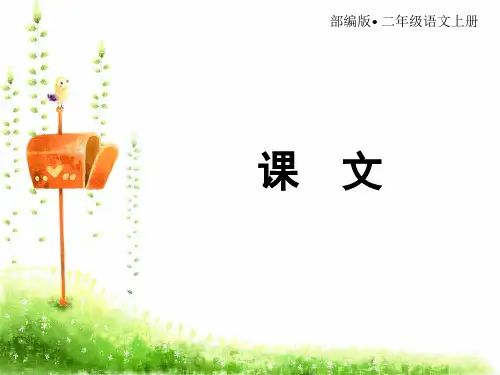 《难忘的泼水节》ppt实用课件人教部编版语文1