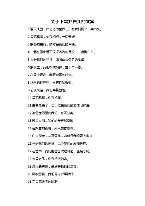 关于下雪共白头的文案-概述说明以及解释