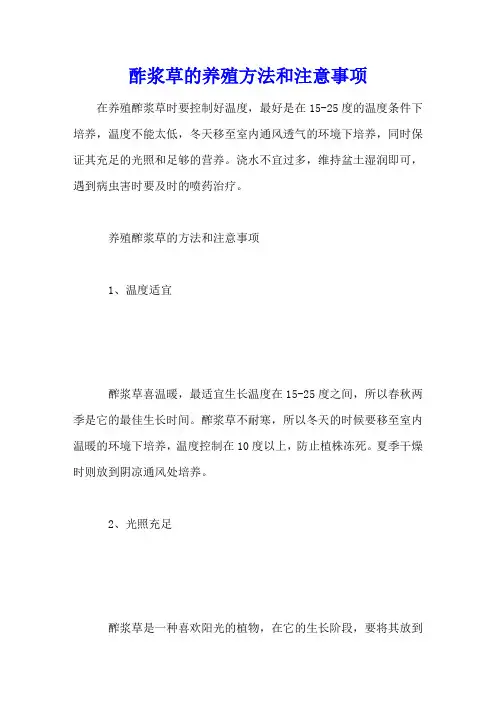 酢浆草的养殖方法和注意事项