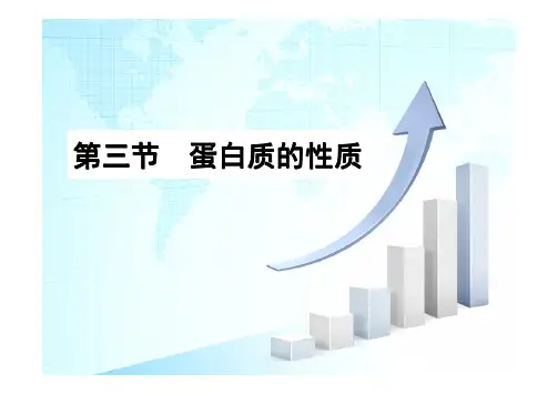 食品化学第四章蛋白质蛋白质的性质及食品加工对其影响