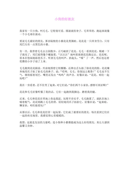 小狗的好朋友