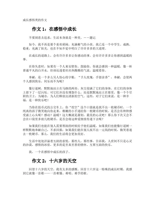 成长感悟类的作文