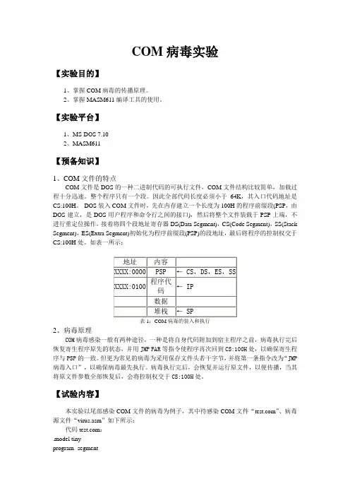 Com病毒实验文档