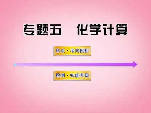 江西省萍乡市芦溪县宣风镇中学年中考化学 专题5 化学计算复习课件 新人教版