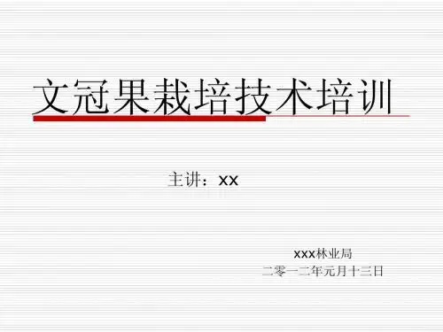 文冠果栽培技术