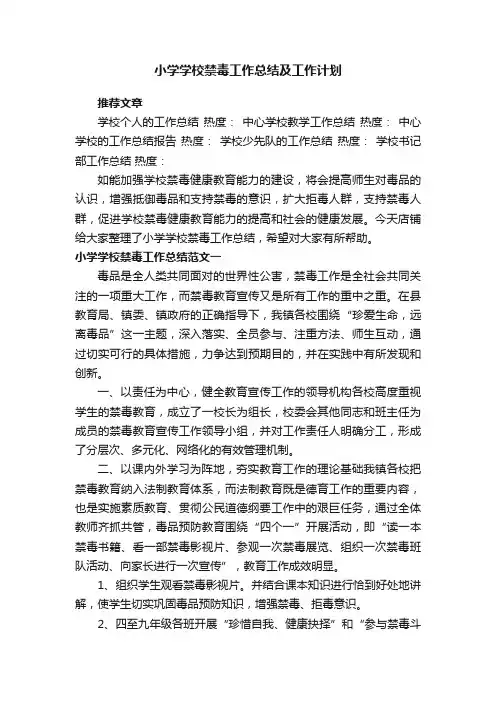 小学学校禁毒工作总结及工作计划