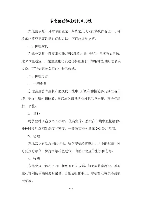 东北芸豆种植时间和方法