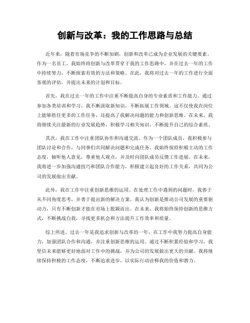 创新与改革：我的工作思路与总结