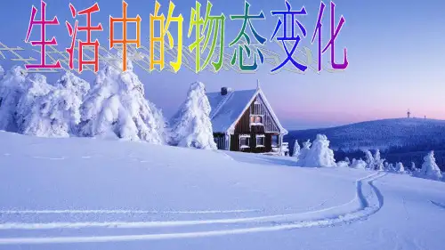 教科版八年级物理上册 物态变化复习课 件 课件