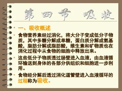 第二章  吸收