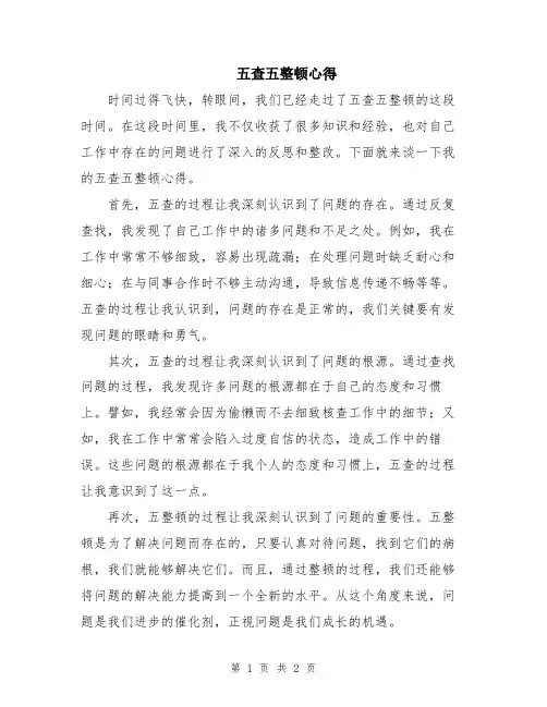 五查五整顿心得