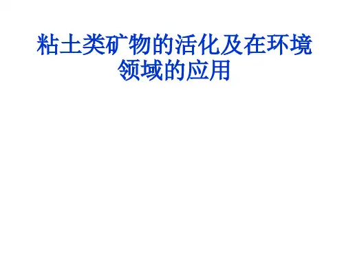 粘土类矿物的活化及在环境领域的应用