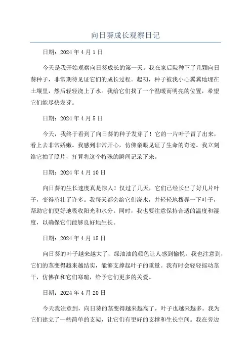 向日葵成长观察日记
