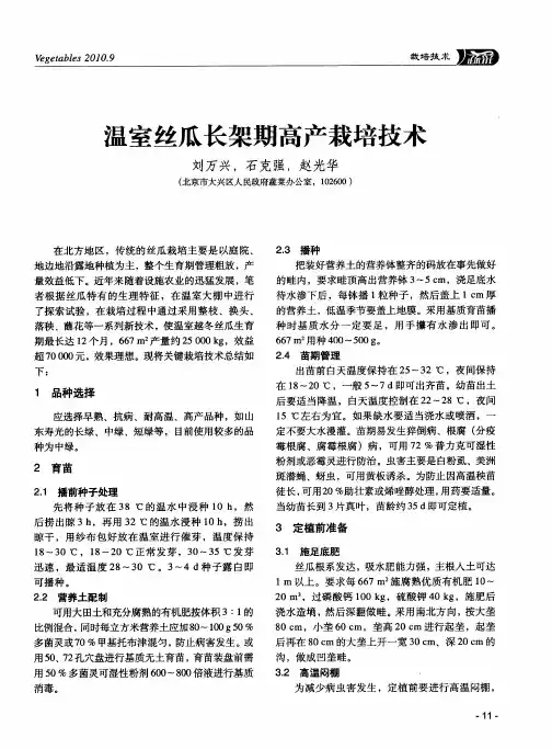 温室丝瓜长架期高产栽培技术