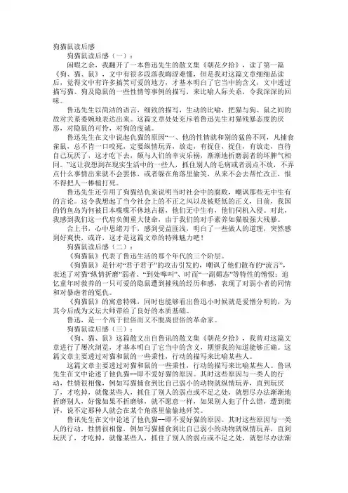 狗猫鼠读后感