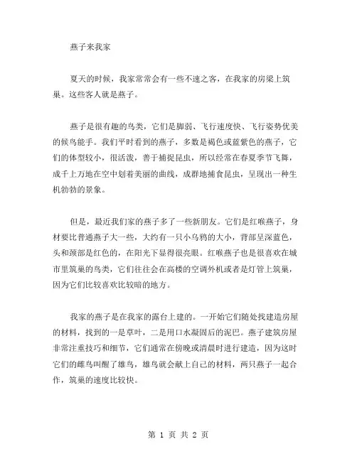 燕子来我家作文范文