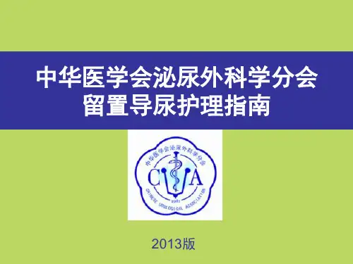 2013导尿指南