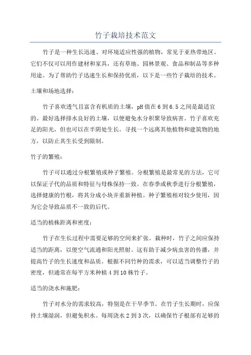 竹子栽培技术范文