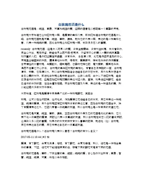 白玫瑰花语是什么