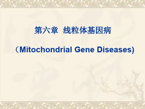 医学分子遗传学第6章 线粒体基因病