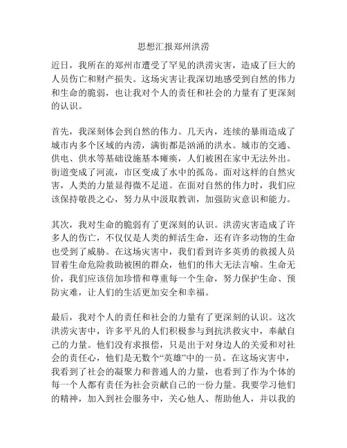 思想汇报郑州洪涝