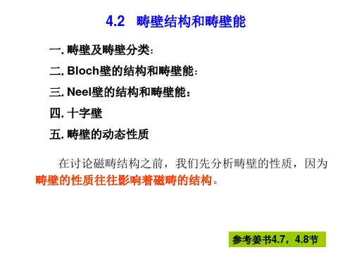 磁畴结构
