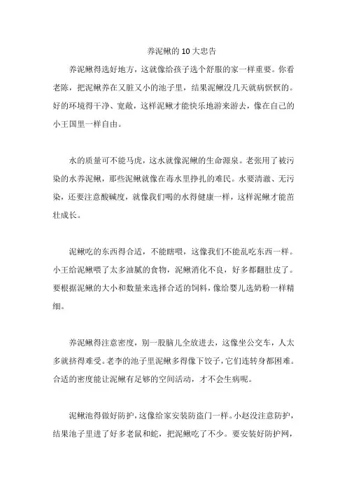 养泥鳅的10大忠告