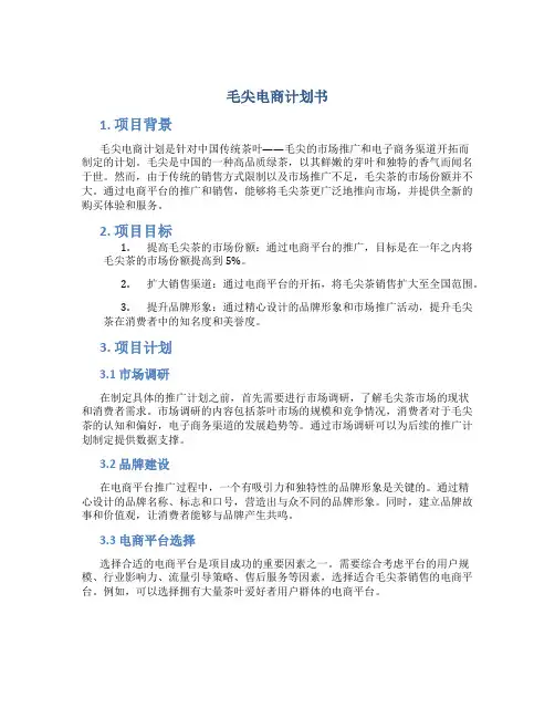 毛尖电商计划书