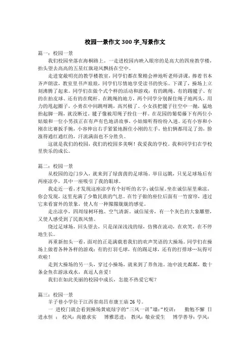校园一景作文300字_写景作文