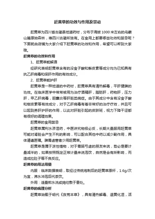 赶黄草的功效与作用及禁忌