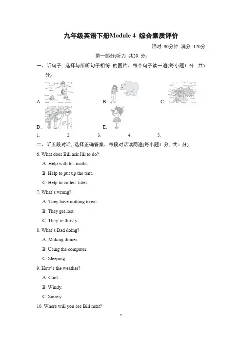 外研版九年级英语下册Module 4 综合素质评价 附答案
