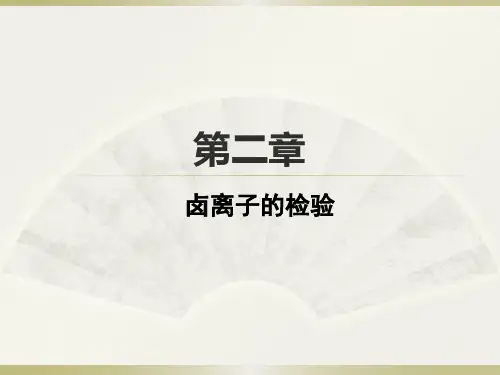 沪科版高一化学必修一2.3.3怎样检验Cl-、Br-、I-课件(共22张PPT)