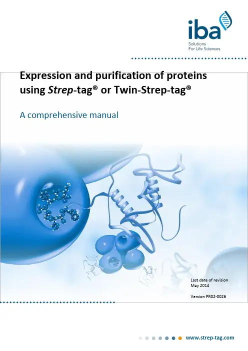 Manual (Twin-) Strep-tag