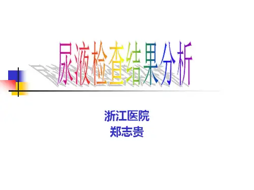 尿常规的解读