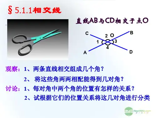 新人教版七年级数学下册《五章 相交线与平行线  5.1 相交线  观察与猜想 看图时的错觉》课件_16