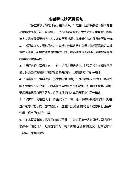 沁园春长沙赏析诗句