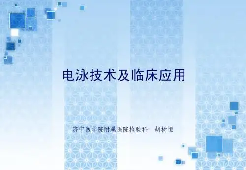 电泳
