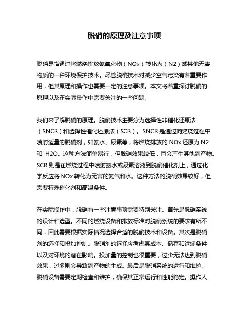 脱硝的原理及注意事项