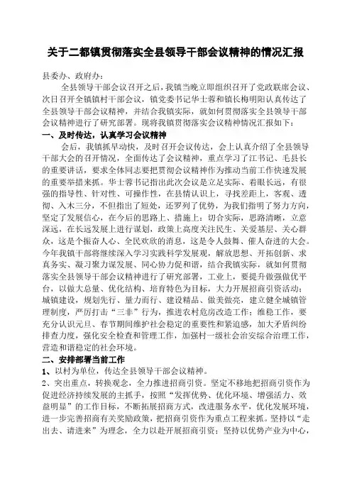 关于二都镇贯彻落实全县领导干部会议精神的情况汇报