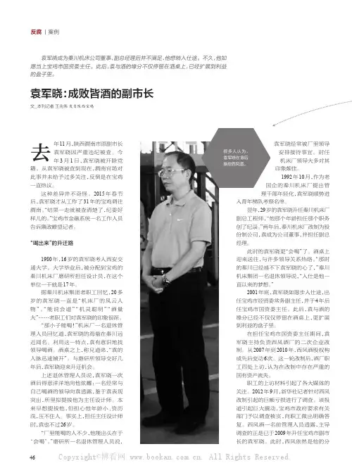 袁军晓：成败皆酒的副市长